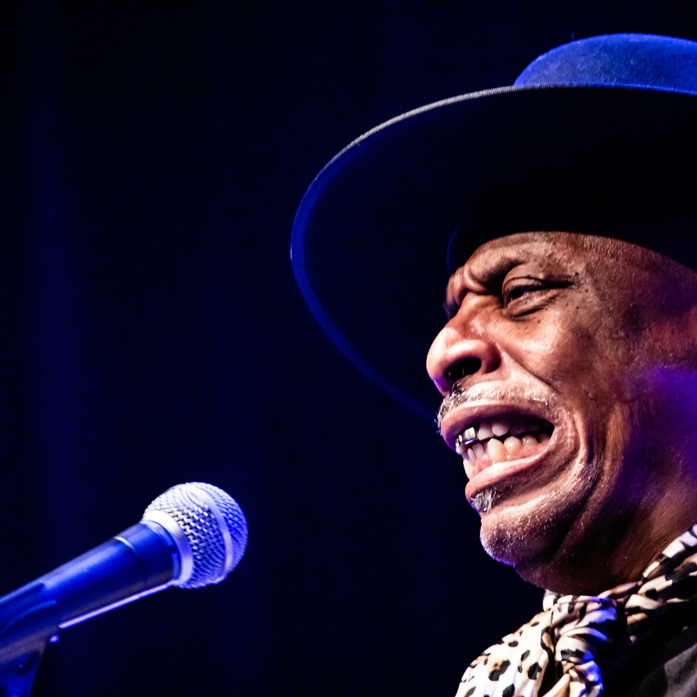 51937035560 7547b43446 o