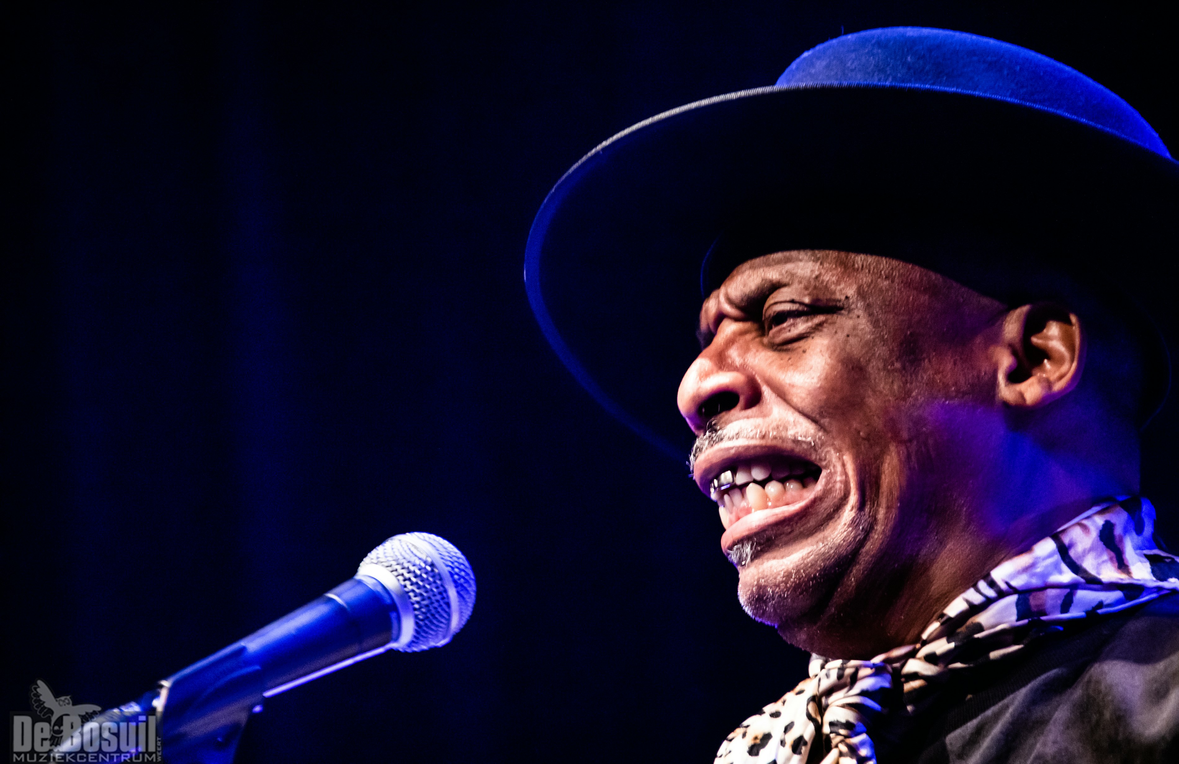 51937035560 7547b43446 o