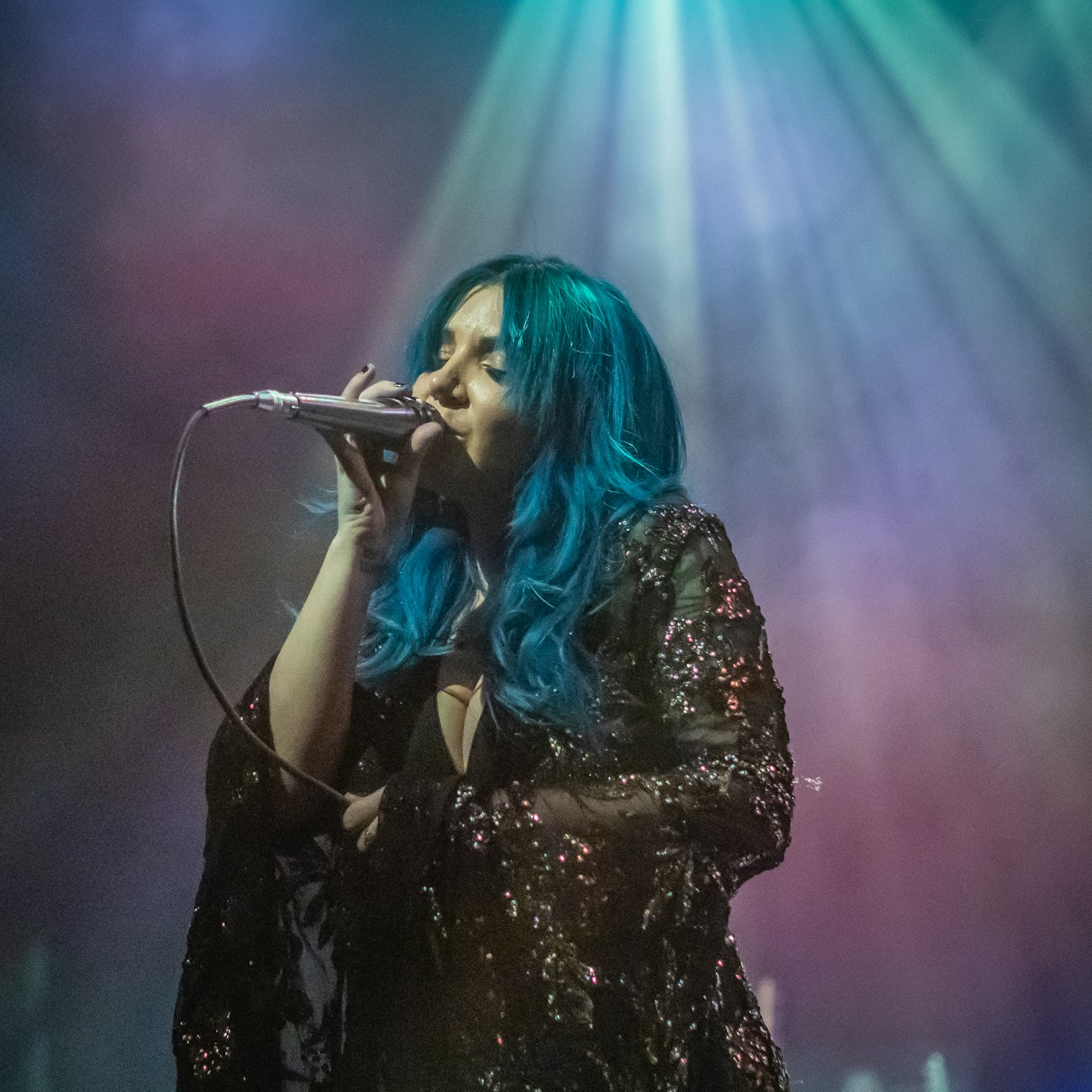 51950670556 d95a028d2f o