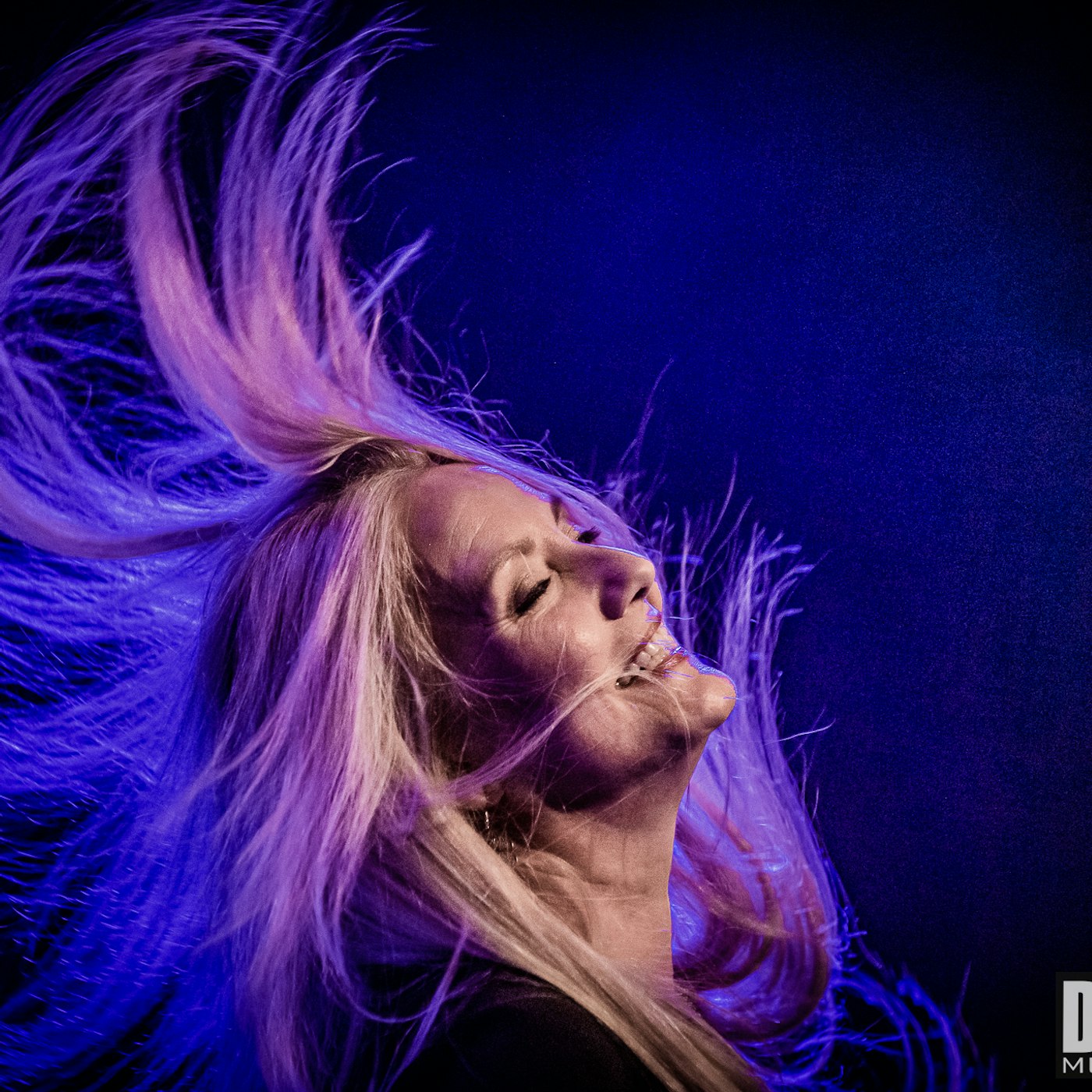 52125247120 3e56b4b6bf o