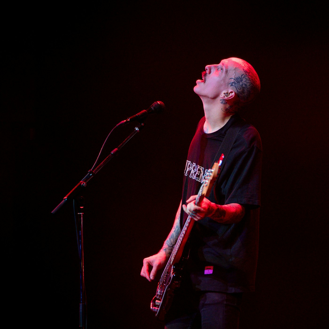 53187796412 ee876ed303 o