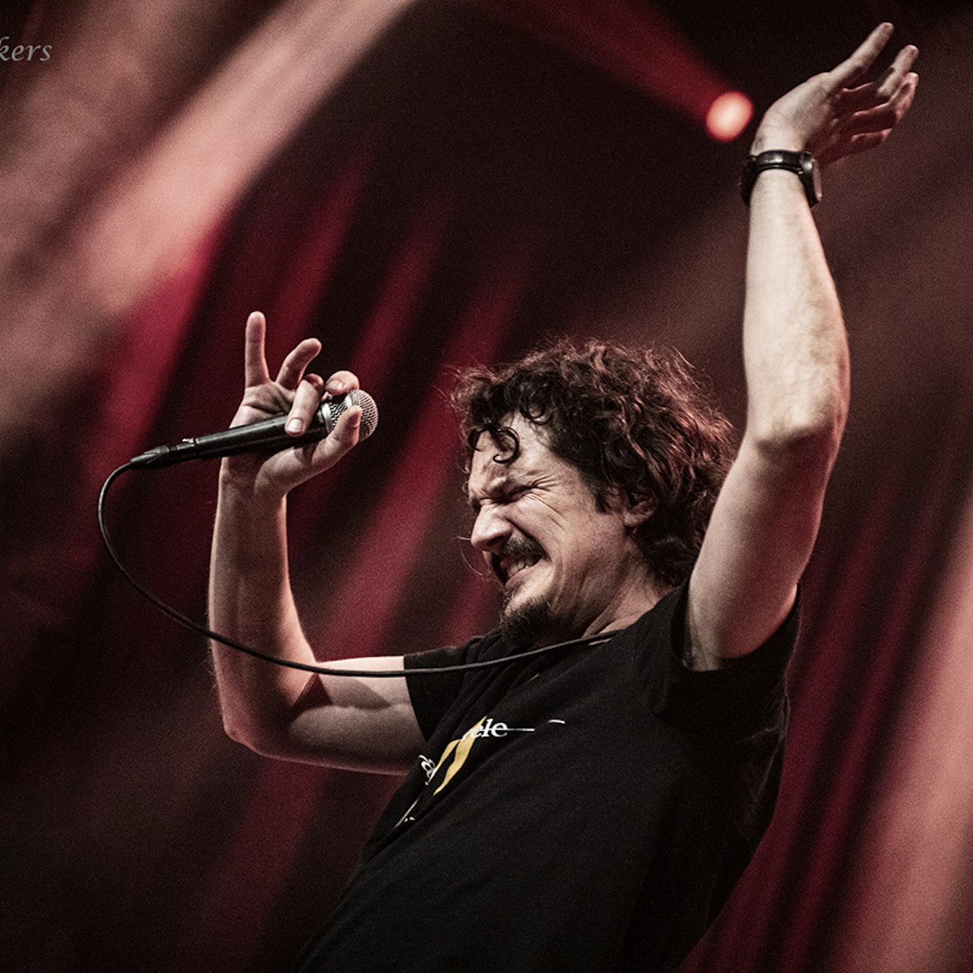 53322528000 48c5f41fb5 o