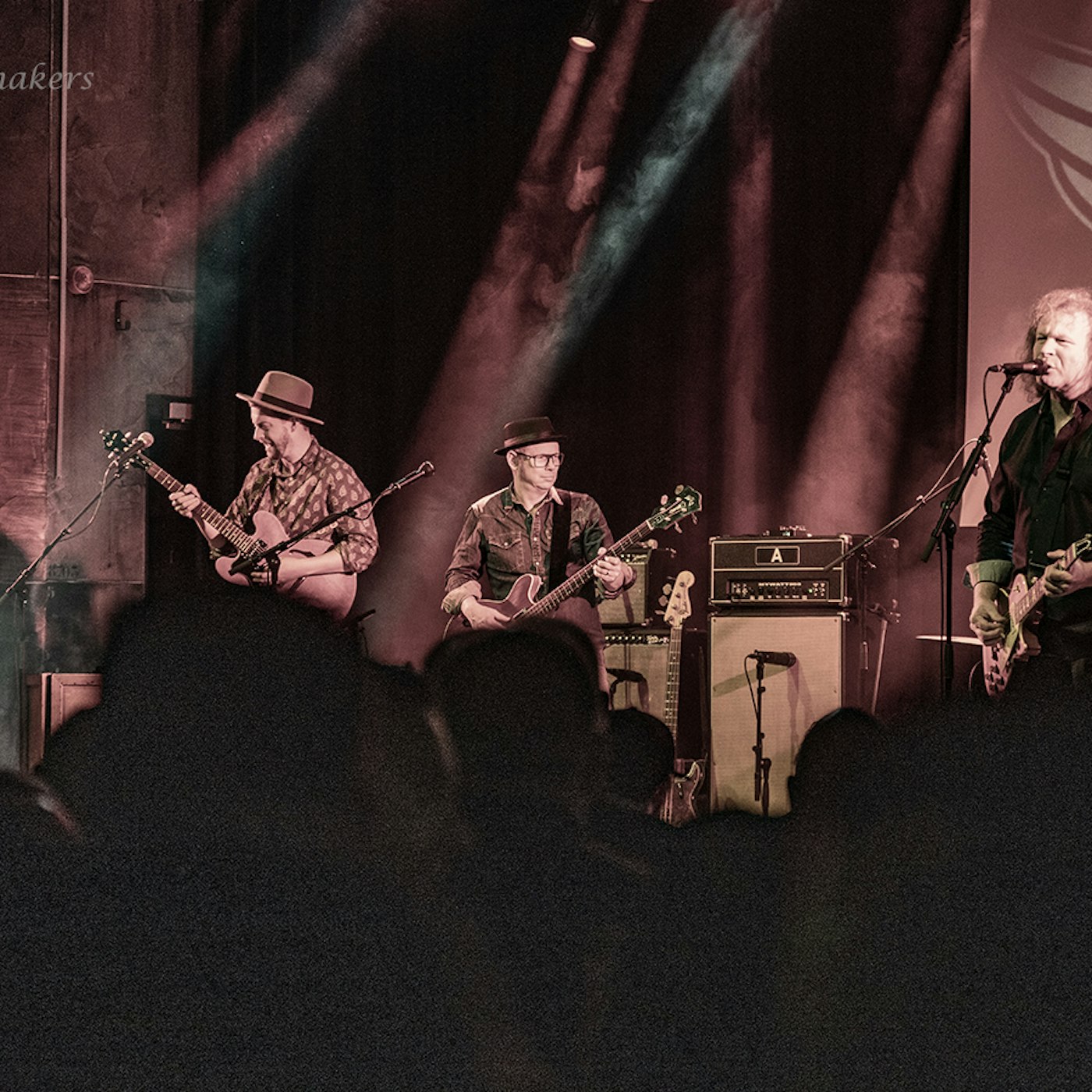 53325529547 e3169d41ff o