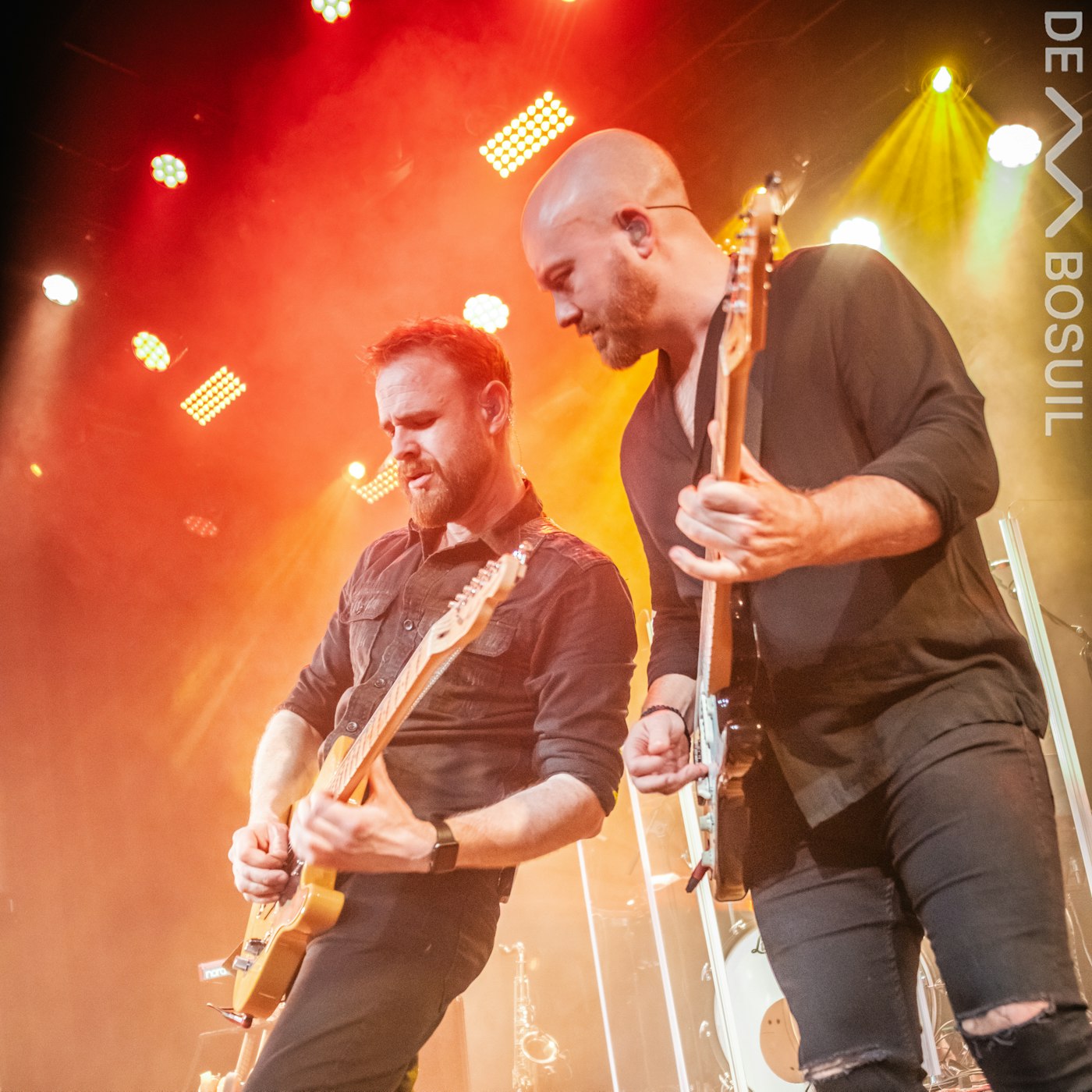 53404254028 cd8e8fc13c o