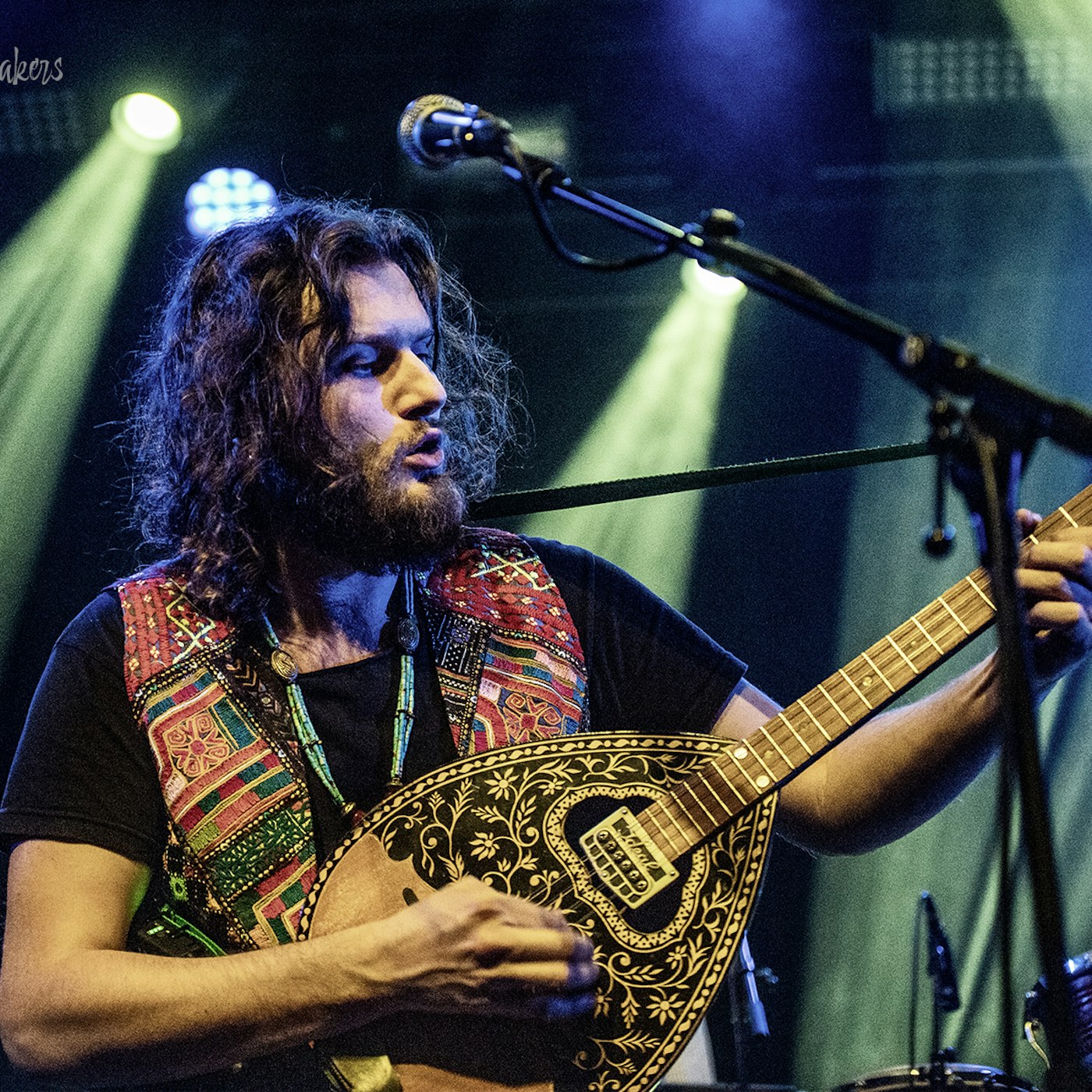 53663052472 c1e39fe5a5 o