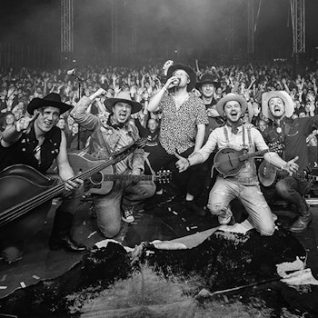 Placeholder for Bosuil website