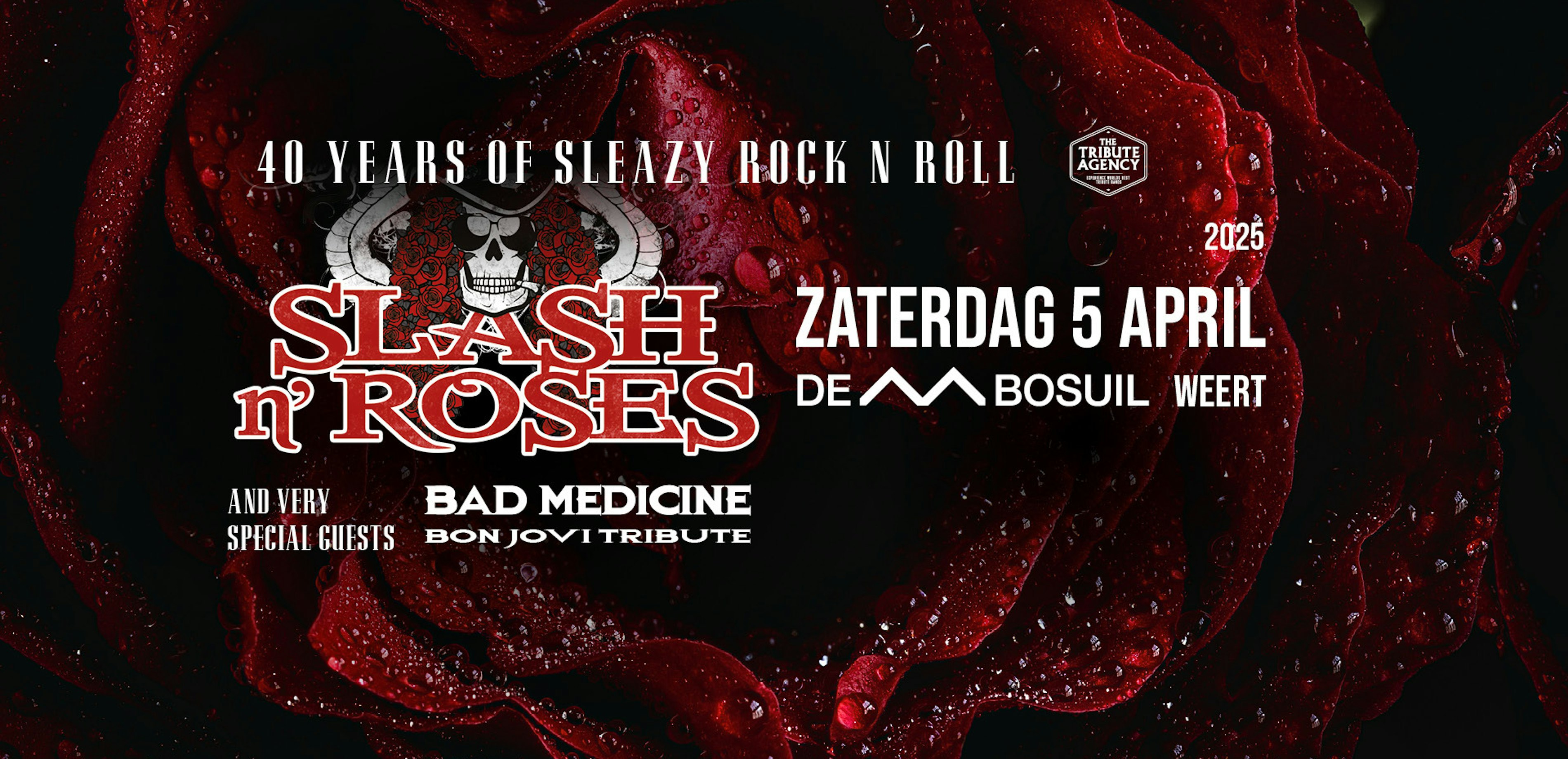 GUNSROSES 40 Y BANNERS 202420