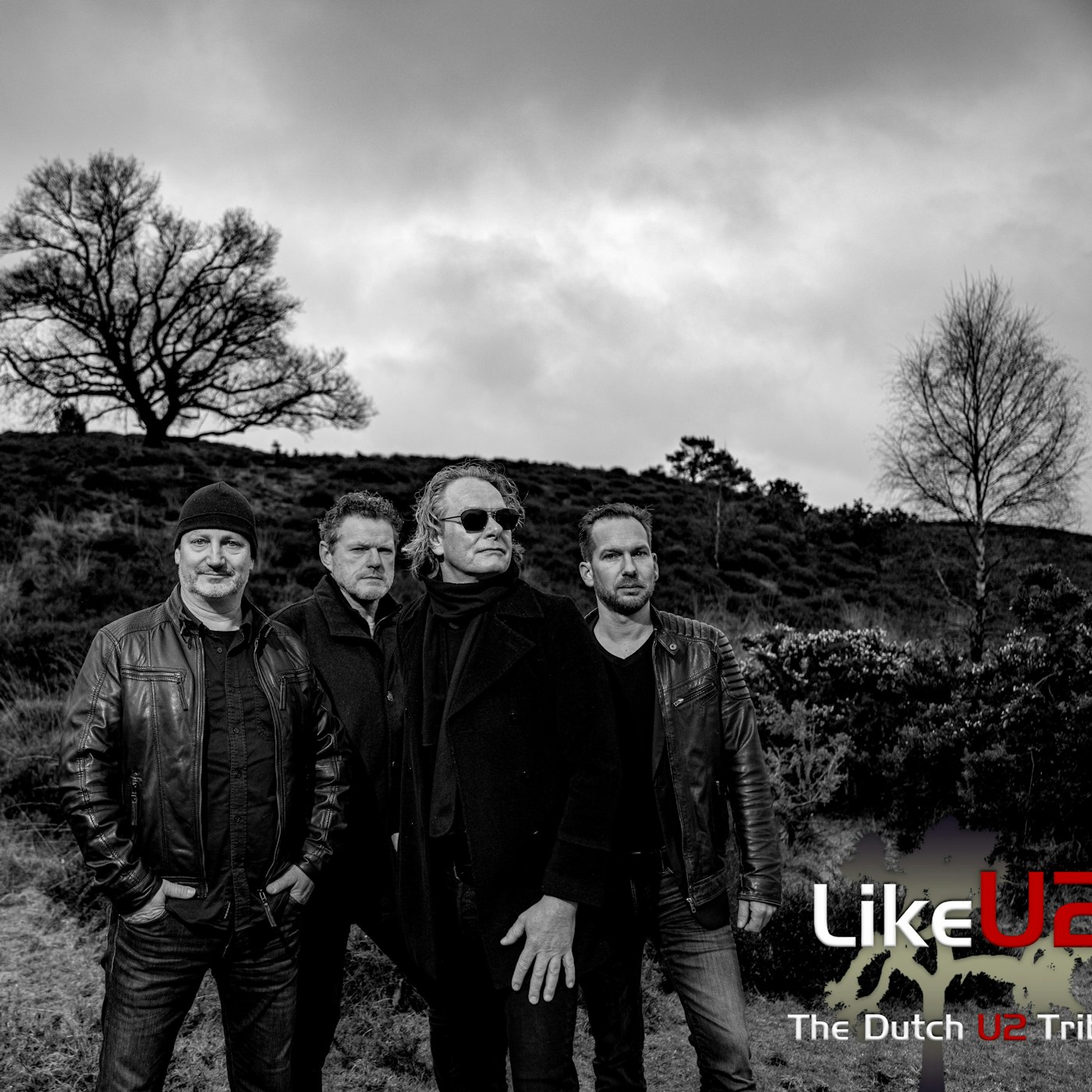 Like U2 Promo Picture 2