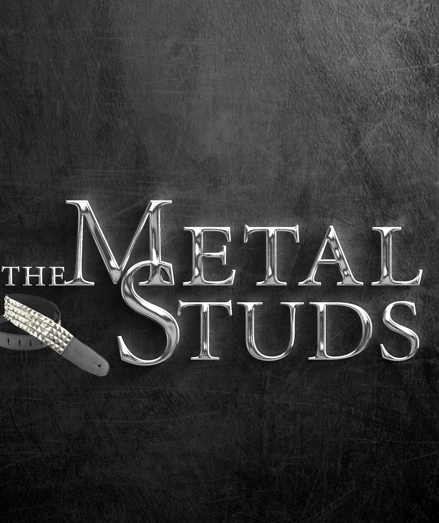 Logo The Metal Studs effect