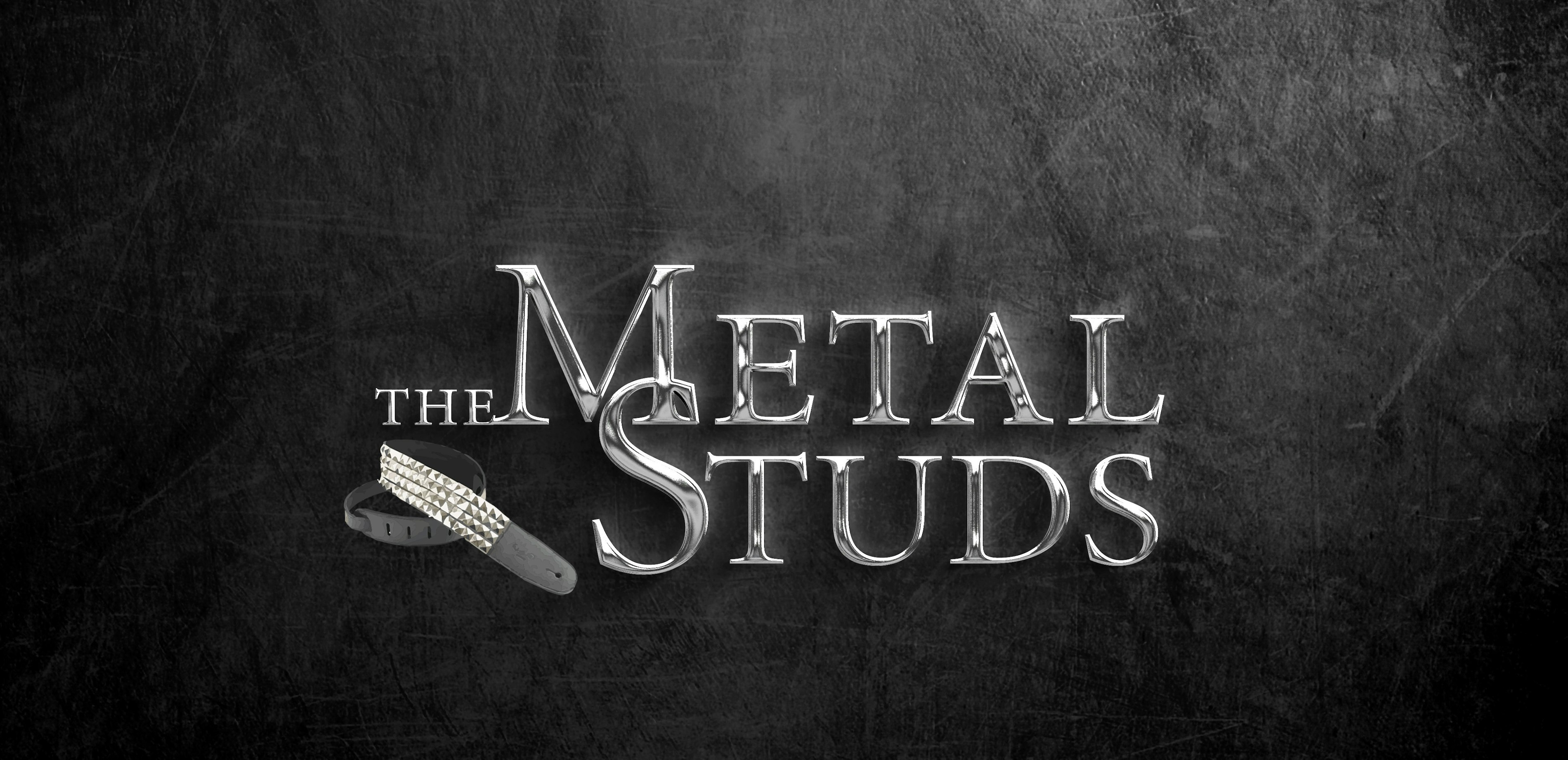 Logo The Metal Studs effect