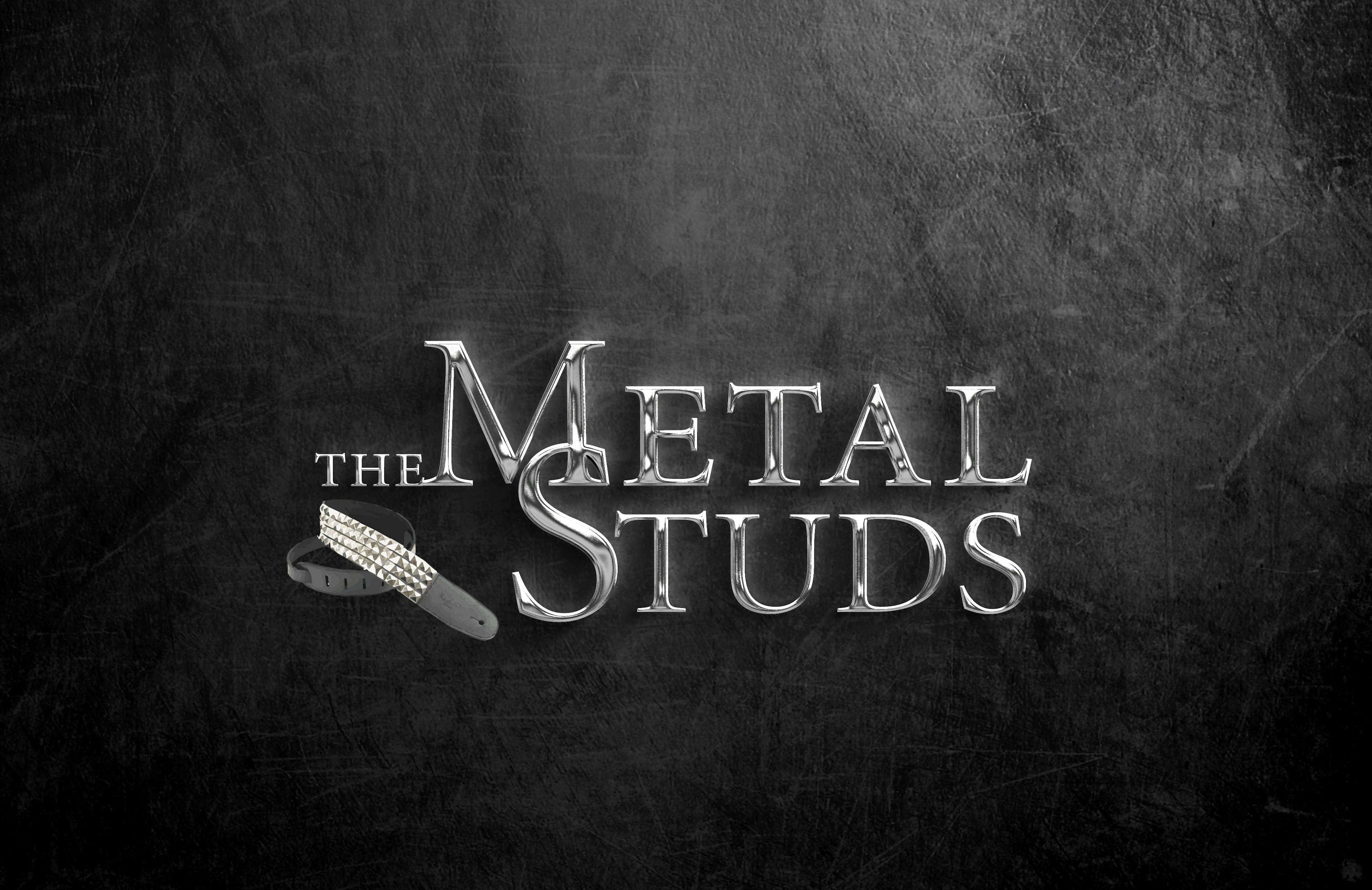 Logo The Metal Studs effect
