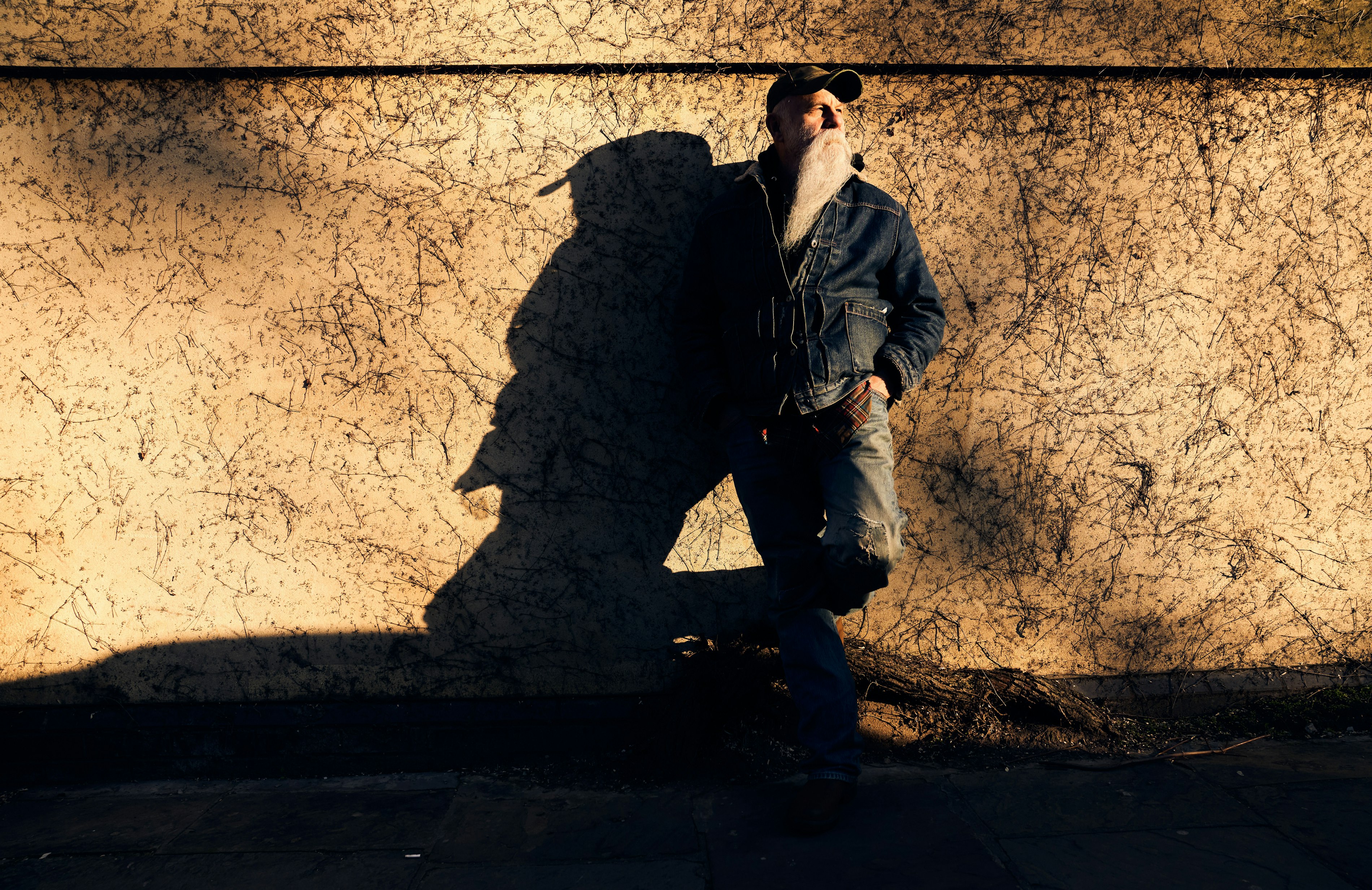 Seasick Steve 2024 Landscape Credit Andy Willsher