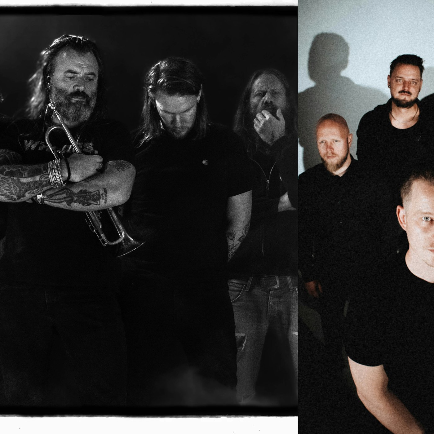 Pendejoilaender webheader