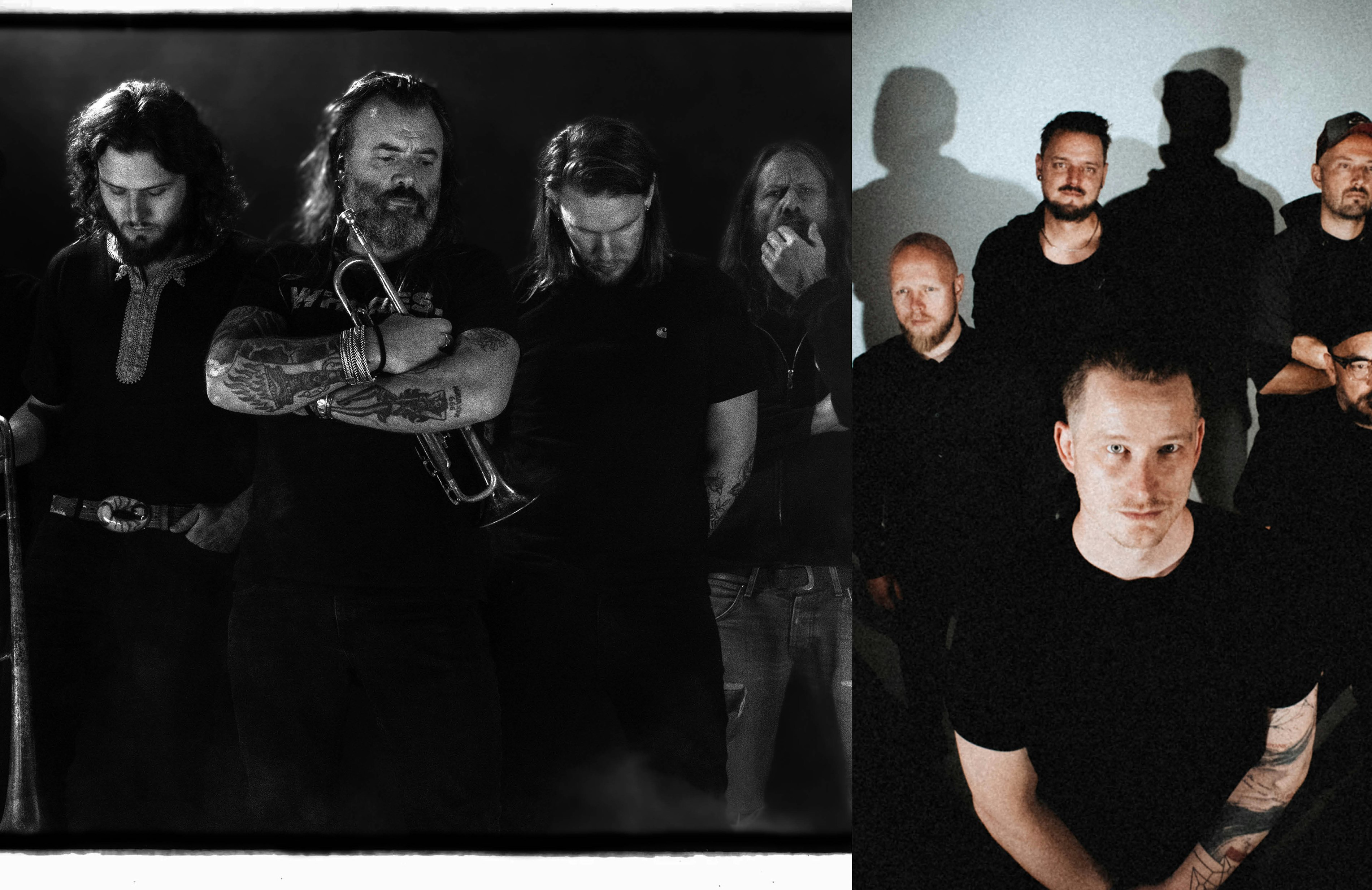 Pendejoilaender webheader