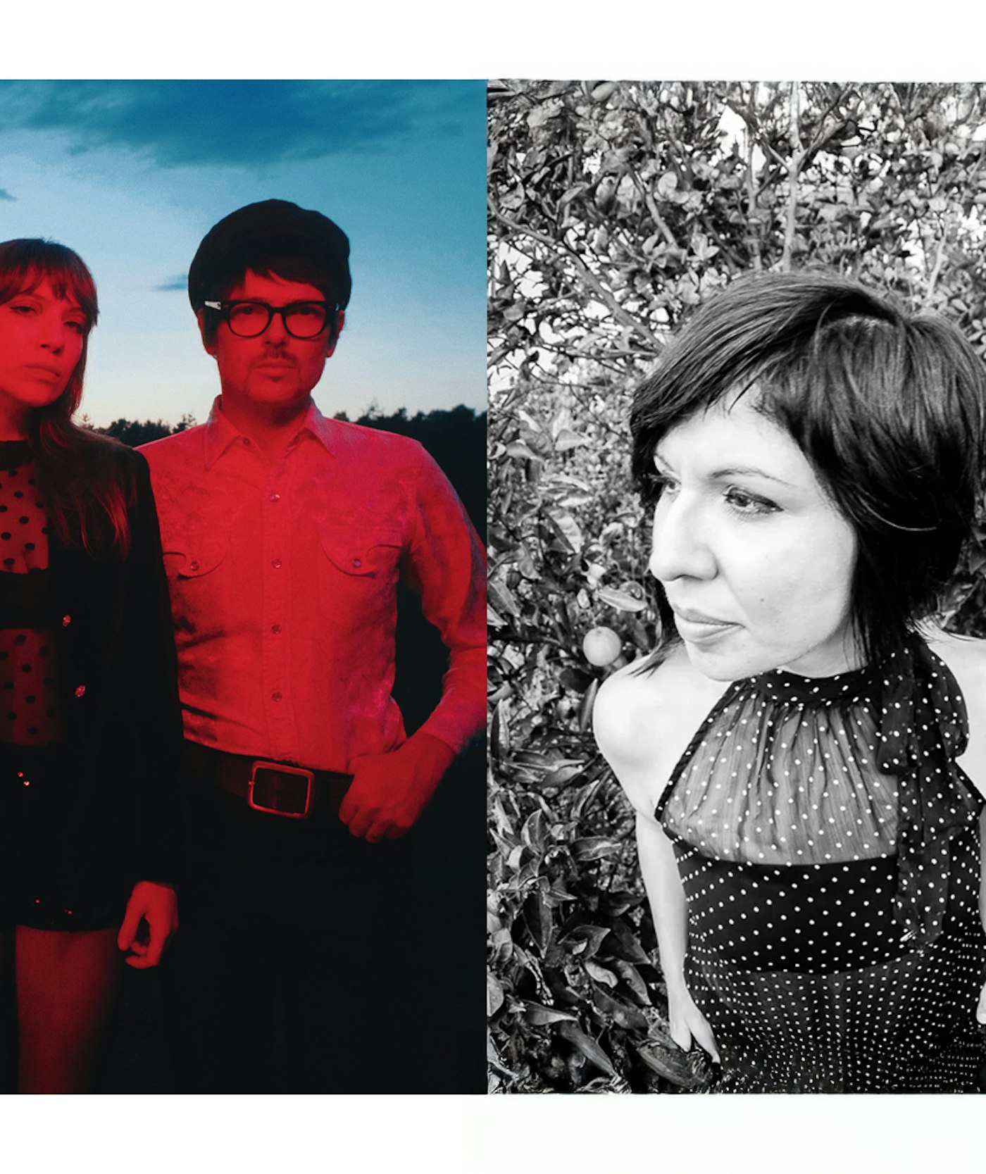 Webheader suzan phonics