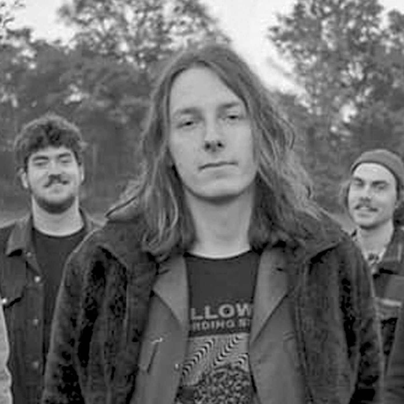 Website header grollo