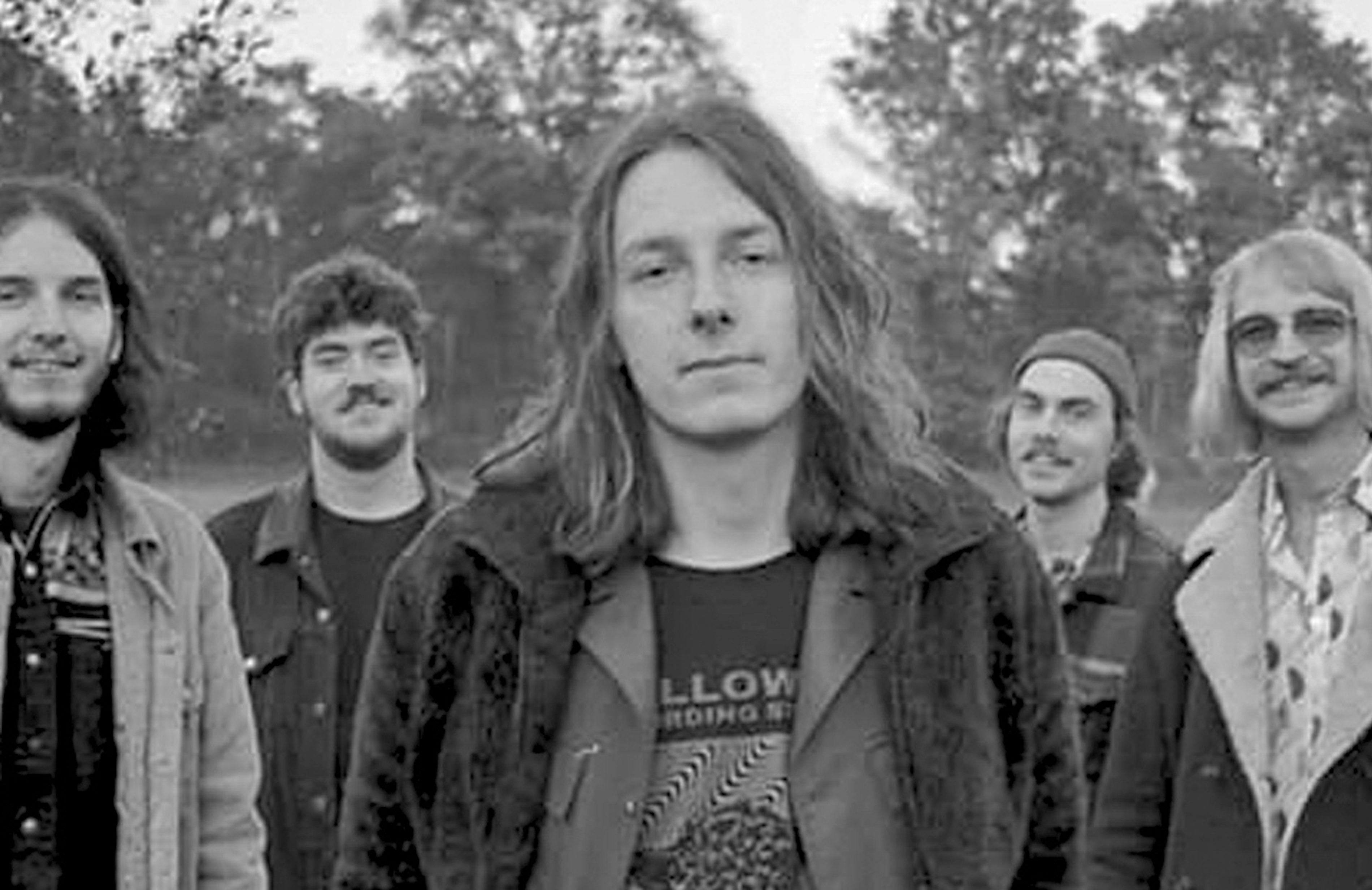 Website header grollo